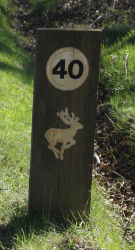 40 MPH Sign on Chase