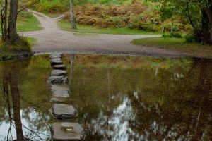 Stepping Stones over pond